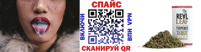 Купить  Александров  Бутират оксана 