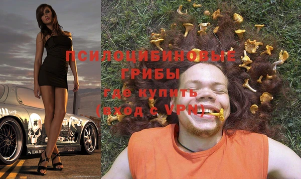 МДПВ Кострома